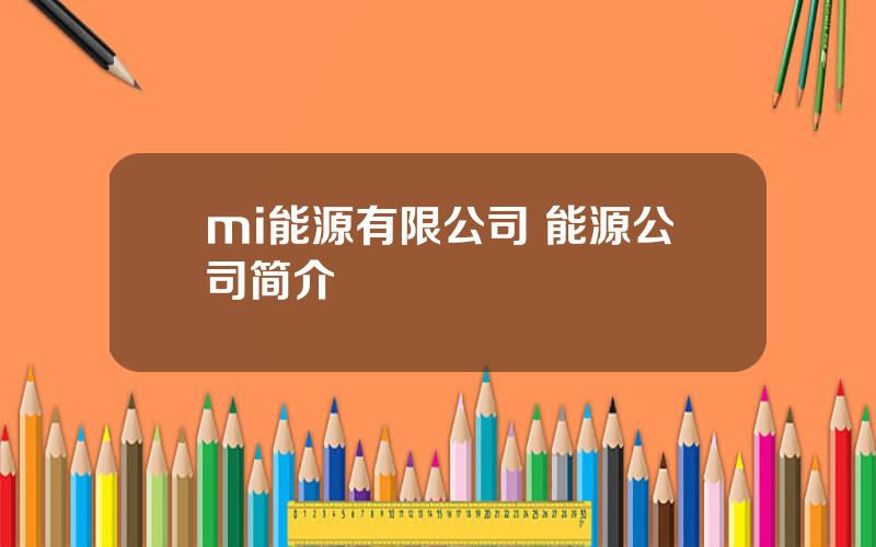 mi能源有限公司 能源公司简介